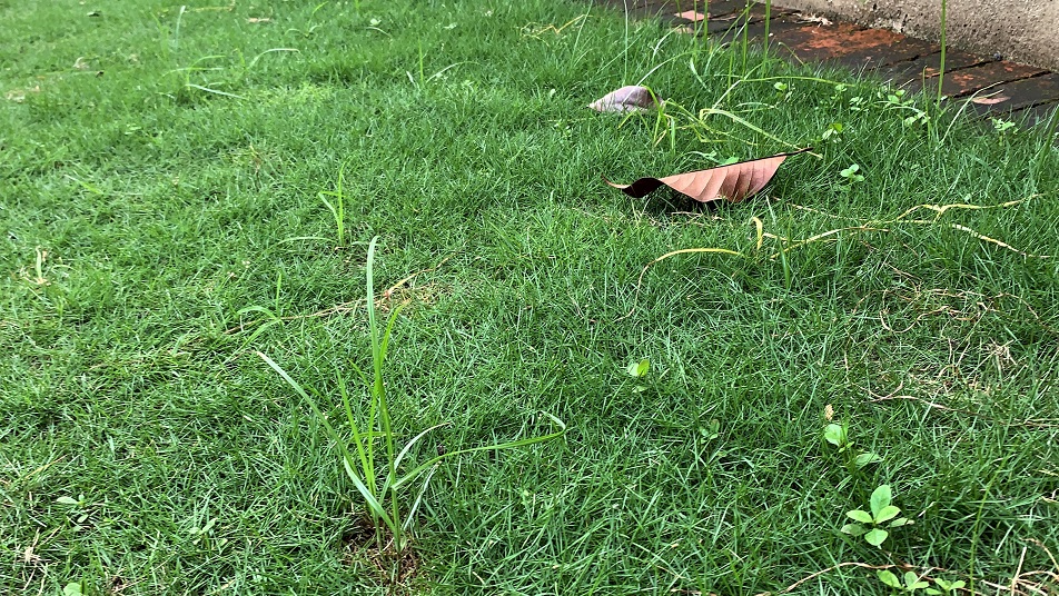 This image has an empty alt attribute; its file name is eijo8733.jpg