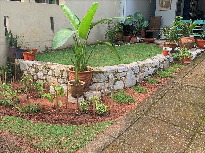 This image has an empty alt attribute; its file name is img_1153.jpg